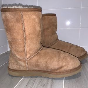 UGG Classic Short Boot Chestnut